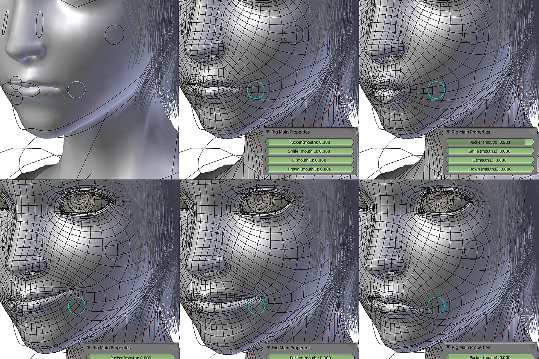 Facial rig development views